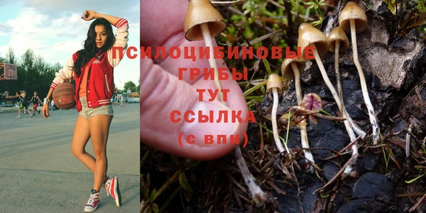 экстази Алексеевка