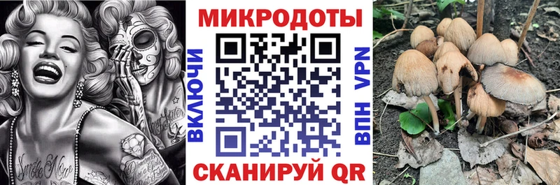 Галлюциногенные грибы GOLDEN TEACHER  купить наркоту  Слюдянка 